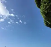 D Dの画像
