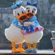 ここ