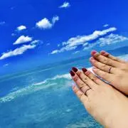 コスモス/24時間以内発送/即購入◎の画像
