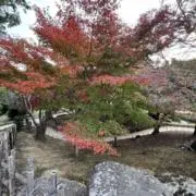 jugonの画像