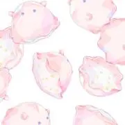 ツキノワグマ、プロフィール確認くださいの画像