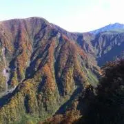 ほんとし