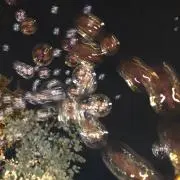 Kの画像