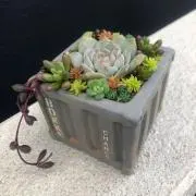 ♡3mam♡　プロフ確認