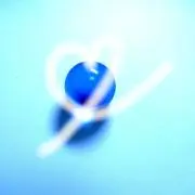 まゆたんの画像