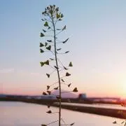 ❁六花closet❁の画像
