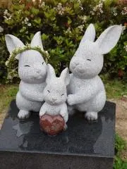 さとちゃんの画像