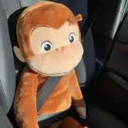 しーぽん