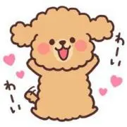 wanwanrun♪