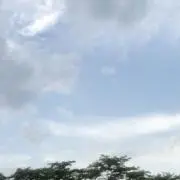 やまの画像