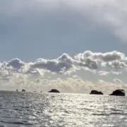 へふの画像