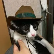 ★ みよっち ★