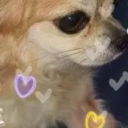 みゆ