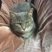 ゆきち