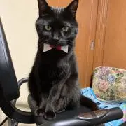 めっこ☺︎プロフ読んでくださいね