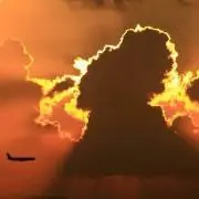 ササクラ
