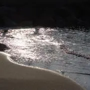 あの画像