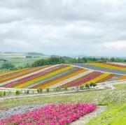 えりんぎの画像