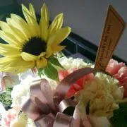 ももあっこ