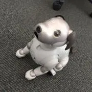 ルルの画像