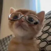 2の画像