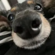 くう
