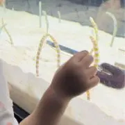 NANANAの画像