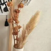 ♡...dの画像