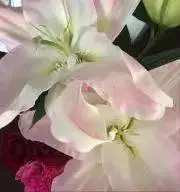 あやや断捨離中♡まとめ買い大歓迎‼︎の画像
