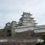 かずの画像