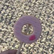 サウルスの画像