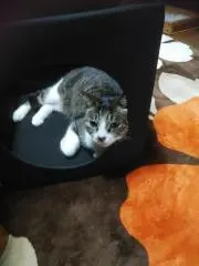 くぅ