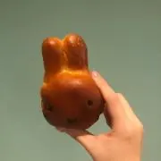 みーの画像