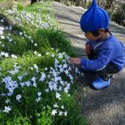 たね ☆プロフ一読お願いします☆の画像