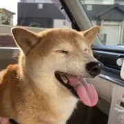 るるの画像