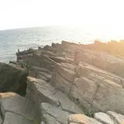 noneの画像