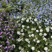 rai＊プロフィールお読みくださいの画像