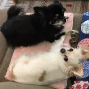 りりー☆断捨離中の画像