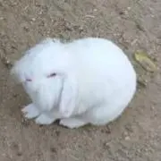 あーちゃん