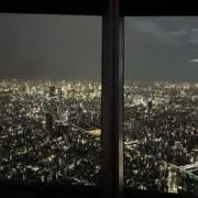 yの画像