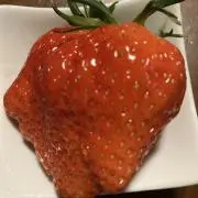 のりの画像