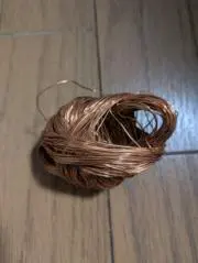 皐月の画像
