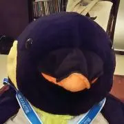 ぷんの画像