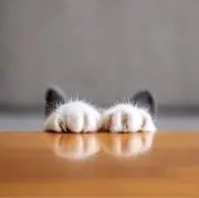 YamaYamaの画像
