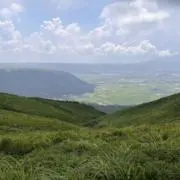 こっこっこーの画像