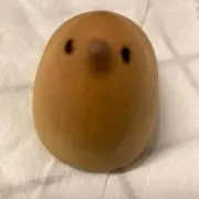 Ikapisaの画像