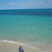 りぃっちゅんの画像