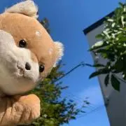 むーしゅか