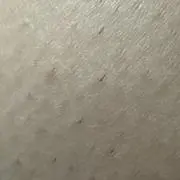 デストロイヤー峯田