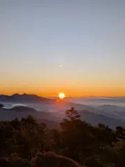 竜の画像